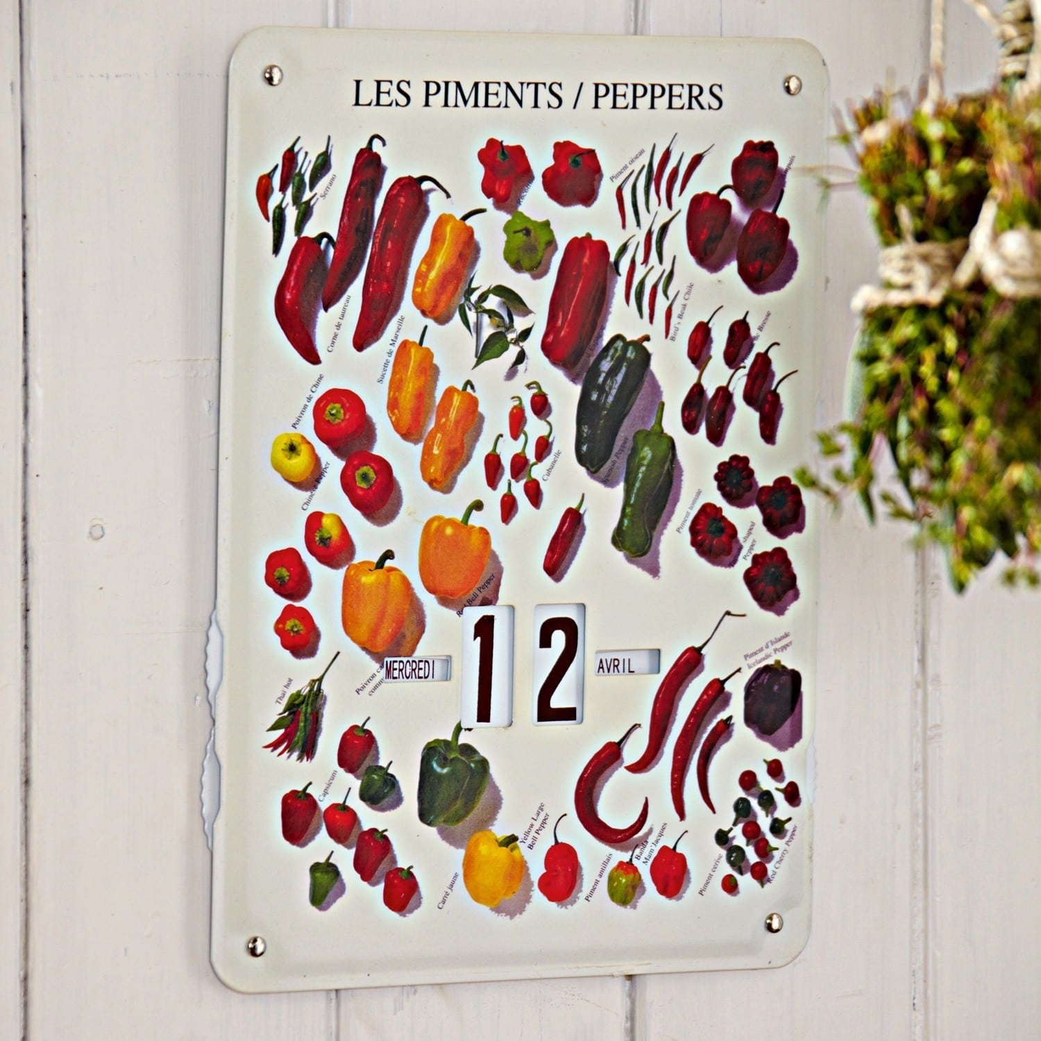 Kalender Peppers