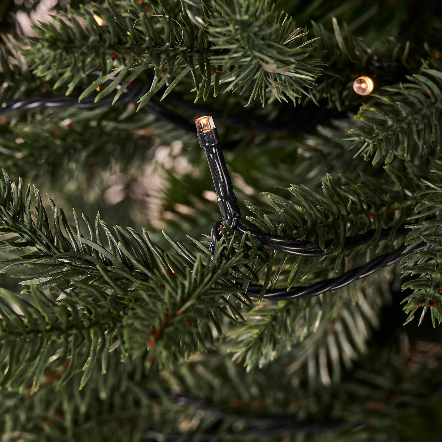 Weihnachtsbaum Celindor