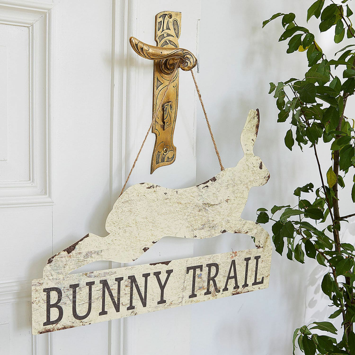 Dekoboard Bunny Trail